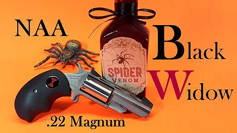 NAA North American Arms Black Widow .22 Magnum Revolver - Would I Really Carry This For Defense?