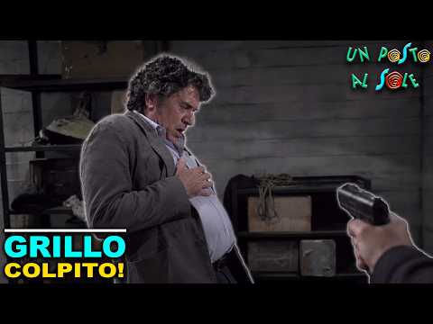 Video Un Posto al Sole: 5 Ottobre Anticipazioni: Grillo Viene Colpito da un Proiettile!