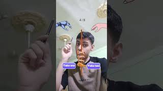 تجميع قطع الكنتاكي السريع