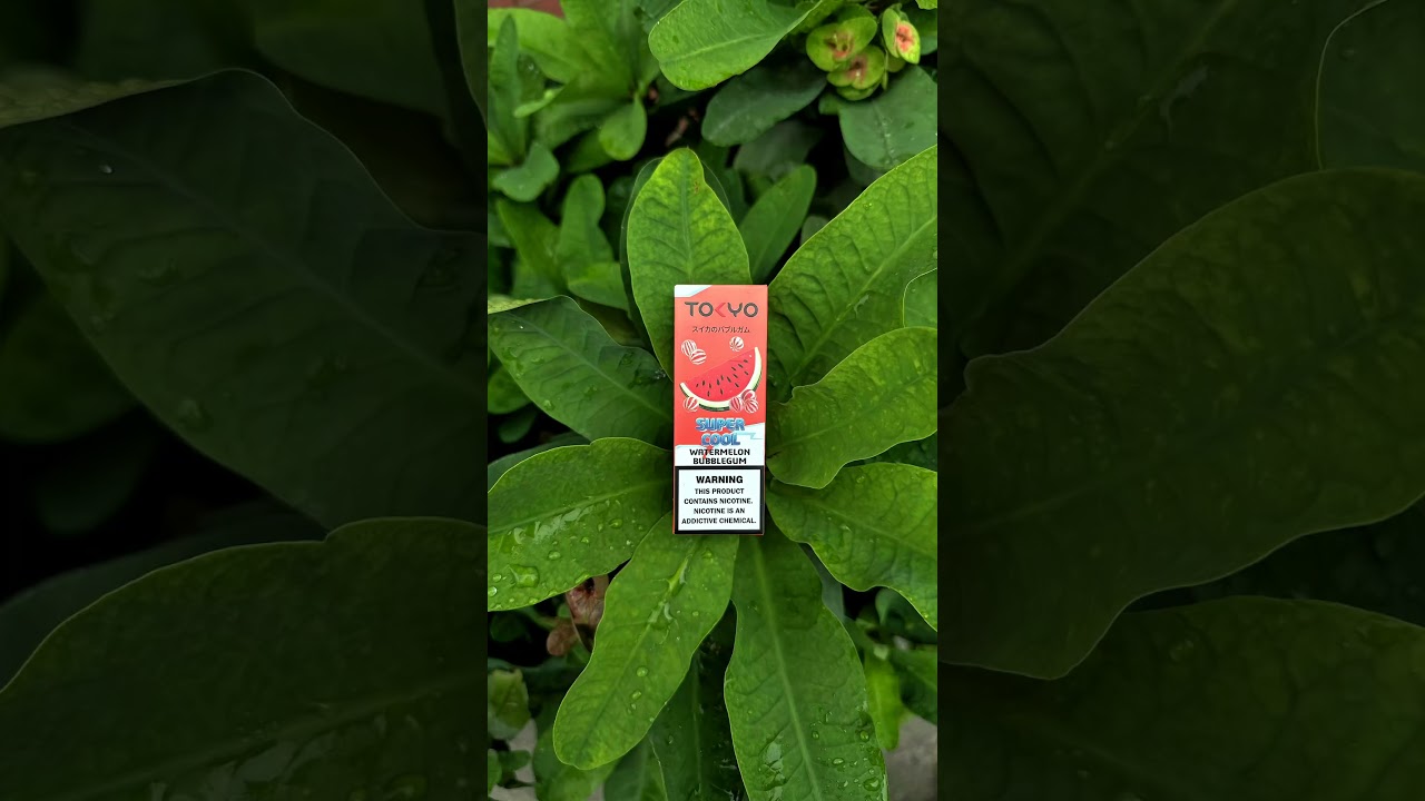 Tokyo Super Cool | Watermelon Bubblegum Drop