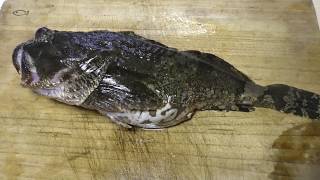 カジカ鍋 Japanese Fluvial Sculpin Bullhead Youtube カジカ鍋 Japanese Fluvial Sculpin Bullhead Youtube