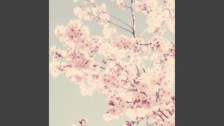 Subdued Calm Sundays