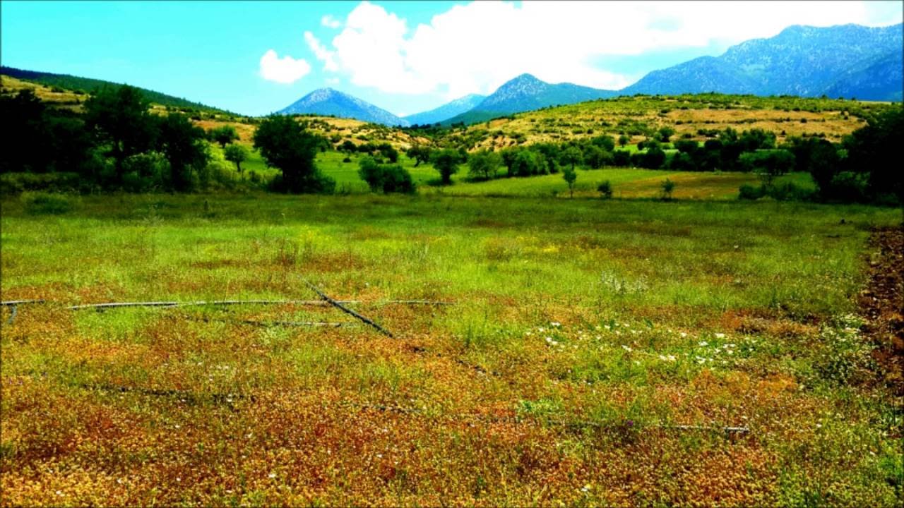 YİNE YEŞİLLENDİ ACIPAYAM YOLLARI