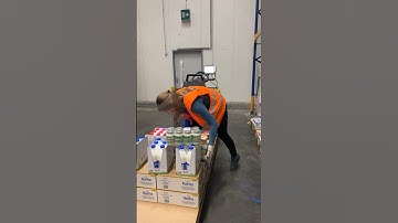 Warehouse work. Girl