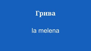 Развивайте свой словарный запас, чтобы выучить испанский язык