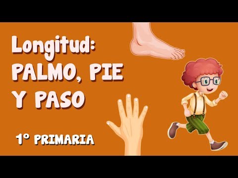 Video: Cómo medir la longitud de la pierna: 8 pasos (con imágenes)