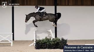 Promesse de Cantraine