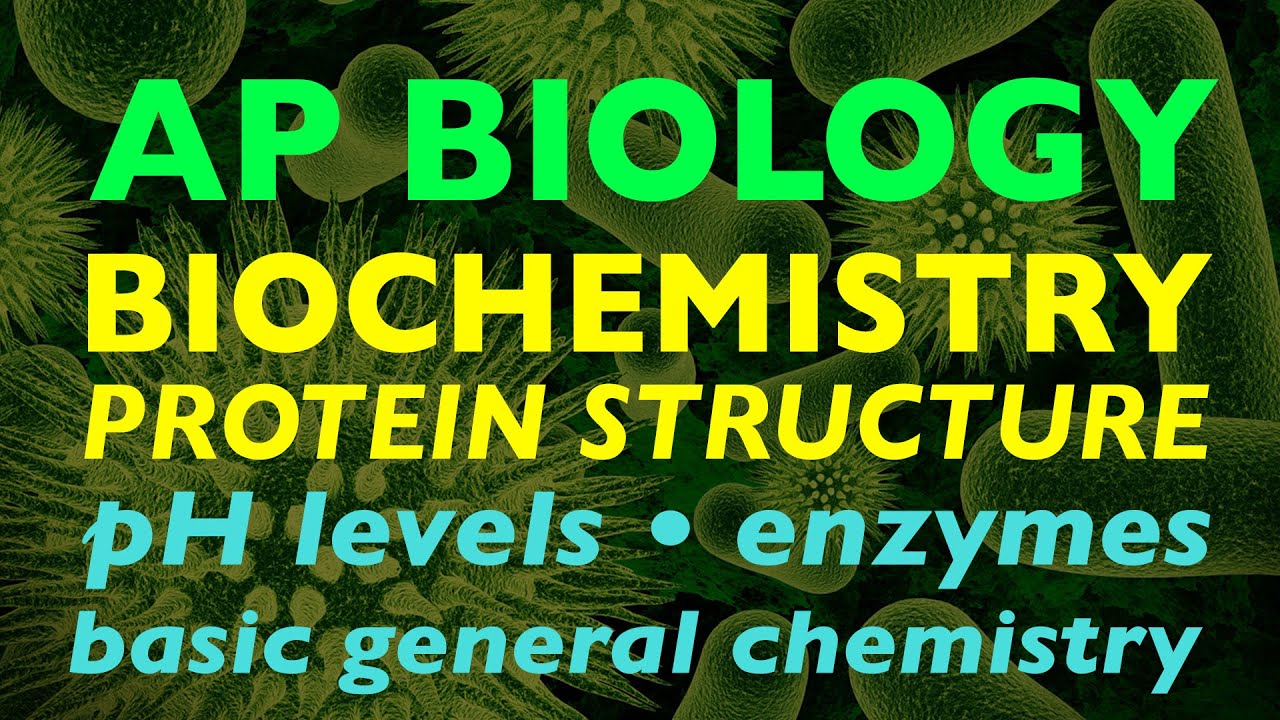AP Biology Biochemistry (Protein Structure) YouTube