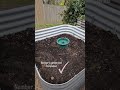 Honey Garden Veggie Garden Part 1
