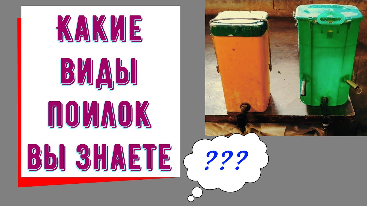 Поилки для кроликов. Какие поилки выбрать для своих кроликов.