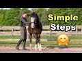 HOW TO DO IN HAND WORK WITH HORSES | 3 EXERCISES 🐴