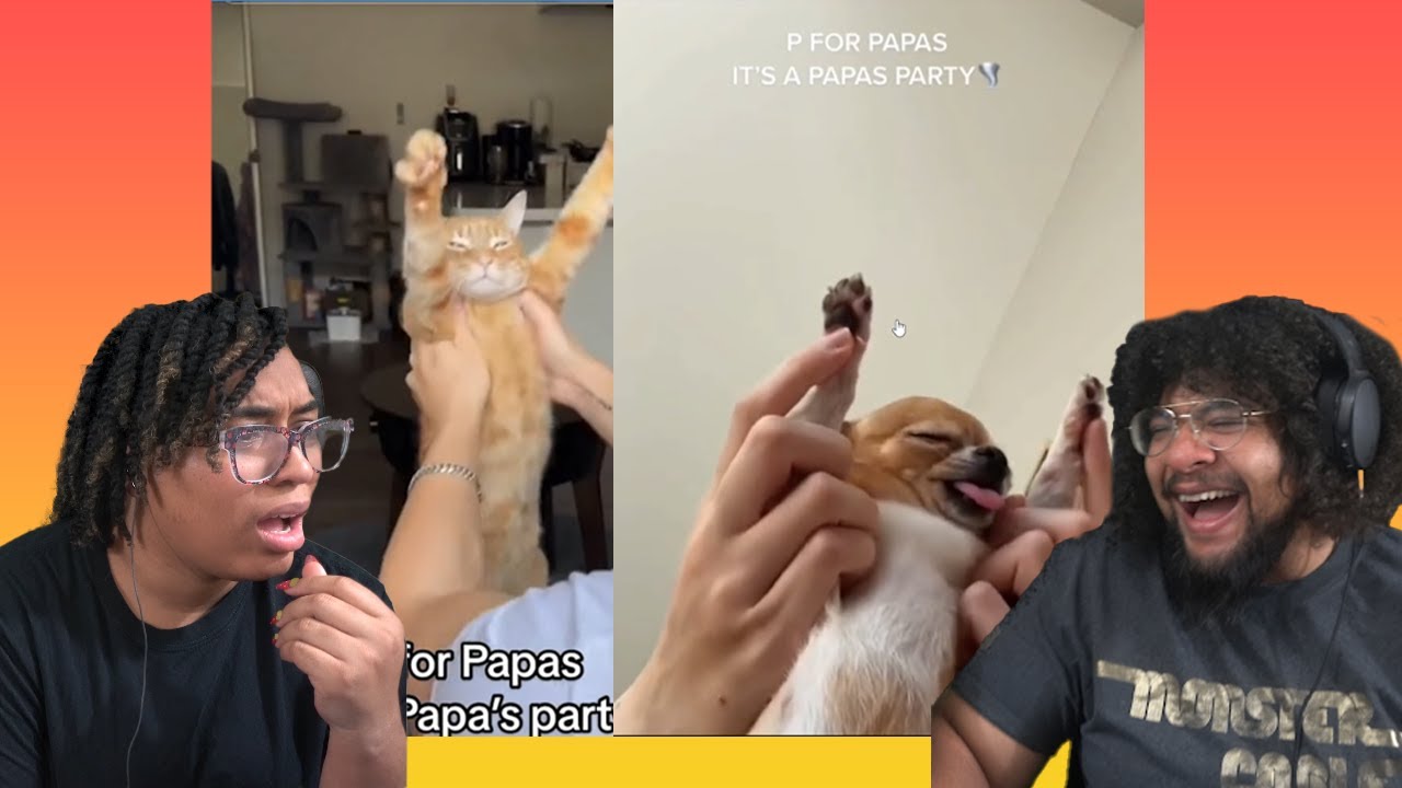 A Daily Dose Of Internet Reaction I Stole From My Husband