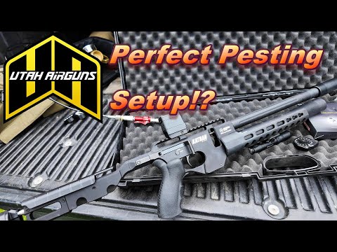Airmaks Katran Pigeon Hunt | Olight Red Dot!