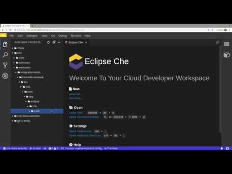 Che 7 Sparse checkout demo