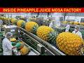 Inside the World’s Craziest Pineapple Juice Factory 😱 Full Production Revealed!
