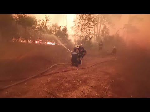 Dozens of Russian firefighters escape wildfire trap