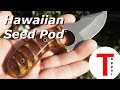 Hawaiian Seed Pod Boot Knife/Skinner