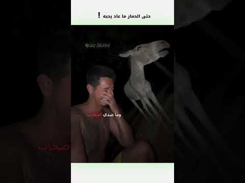 حتى الحمار ما عاد يحبه دبلجة مضحكة ضحك اكسبلور السعودية دوبلاج   