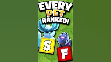 Ranking EVERY Hero Pet from WORST to BEST - Tier List