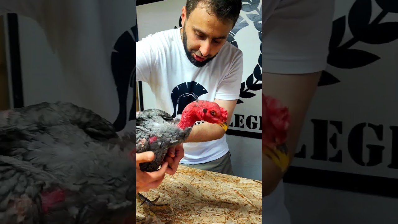 2 августа 2025 г.