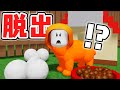 捕まるとイヌになっちゃう!?恐怖のペットショップから脱出しよう!!【ロブロックス】