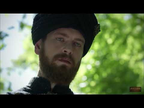 შეჰზადე ბაიაზიდი.