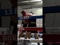pelea boxeo amateur título #boxeoargentino #boxeo #deporte #deporteargentino #reels #mma #shorts
