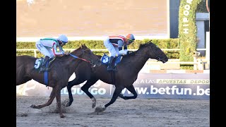 Handicap Advocate 2025 - Forty Fain (Fortify)