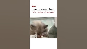 you are in exam hall #memes #funny #exam #ytmemes