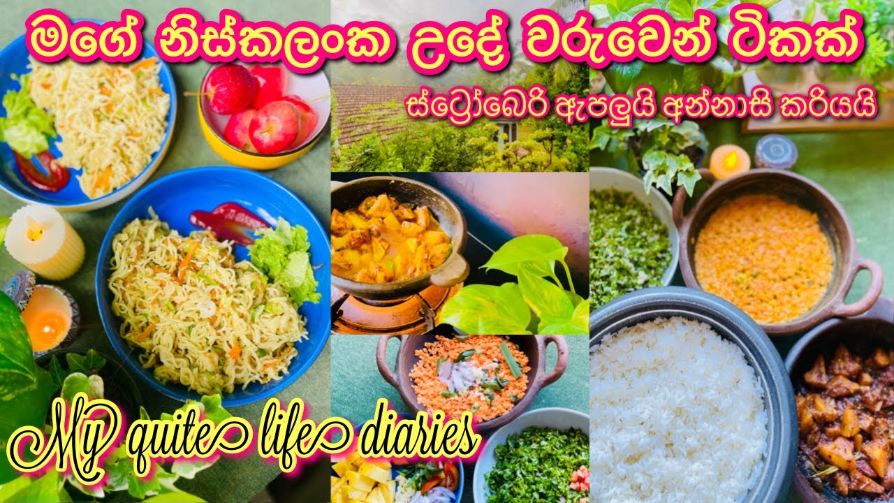 රස කෑම පිරුණු නිස්කලංක උදේ වරුවක්🍃💚 මගේ බර අඩු කරගන්න මම කරපු දේවල් meal prep | relaxing