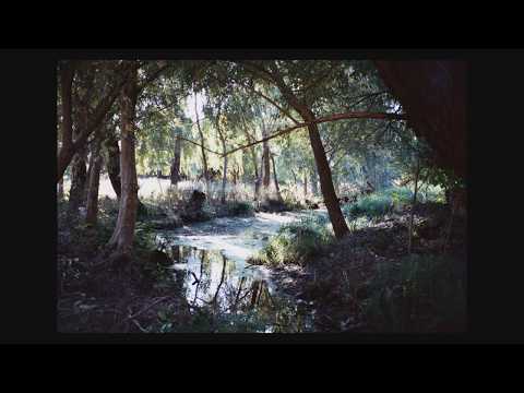 Listening to Georgia’s Rural Soundscapes | ხმები საქართველოს სოფლებიდან | Chai Khana