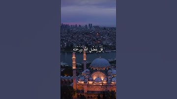 واتس اب قران كريم القارئ عمر الدريويز(سوره يونس)