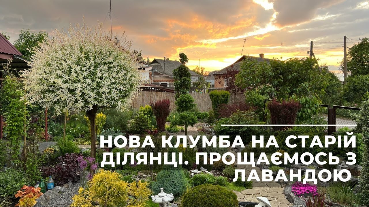 Нова клумба на старій ділянці. Прощаємось з лавандою