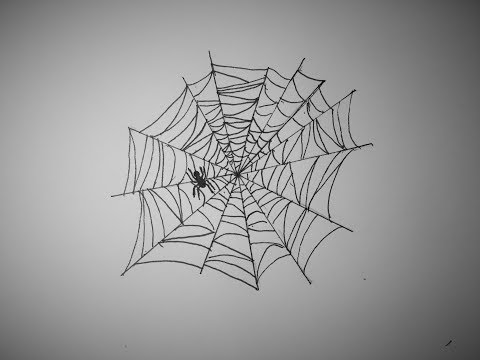 How to Draw a Spider Web
