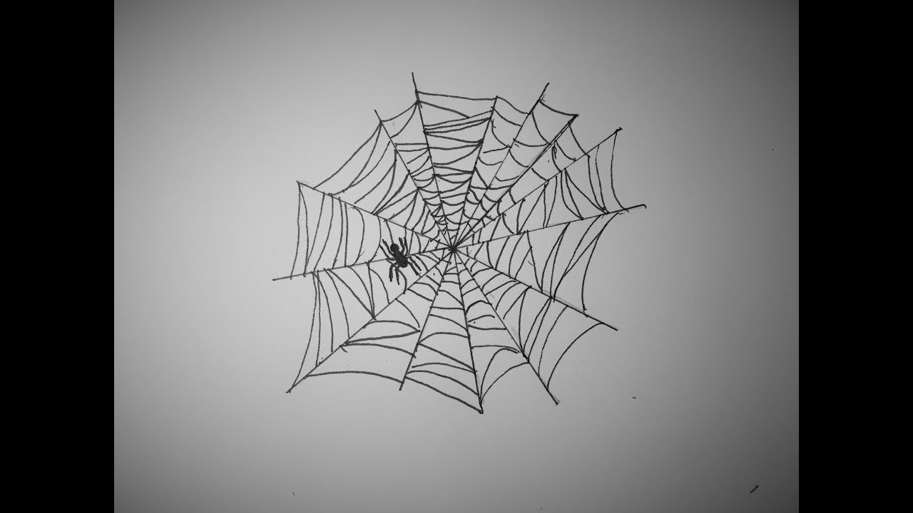 realistic spider web stock photos images photography shutterstock on spider web drawing realistic