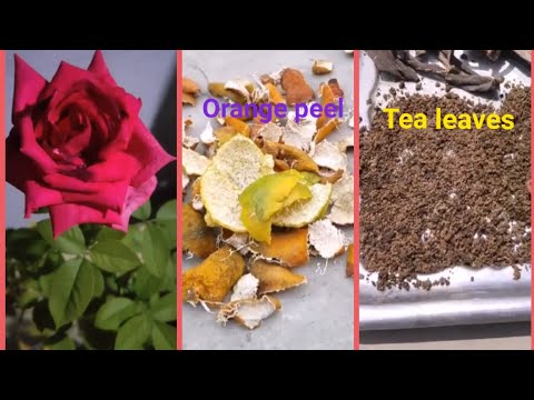 How to make your garden's soil Acidic