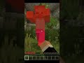 The most meaningless video of Minecraft | minecraft mods | minecraft survival | minecraft but