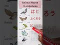Animal name in Japanese #8 writing and pronunciation