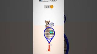 Meme Cat Tennis Champion #shorts #shortsvideo #ytshorts #youtubeshorts #viral screenshot 3