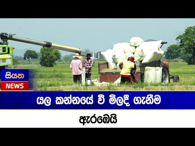 යල කන්නයේ වී මිලදී ගැනීම ඇරඹෙයි | Siyatha News