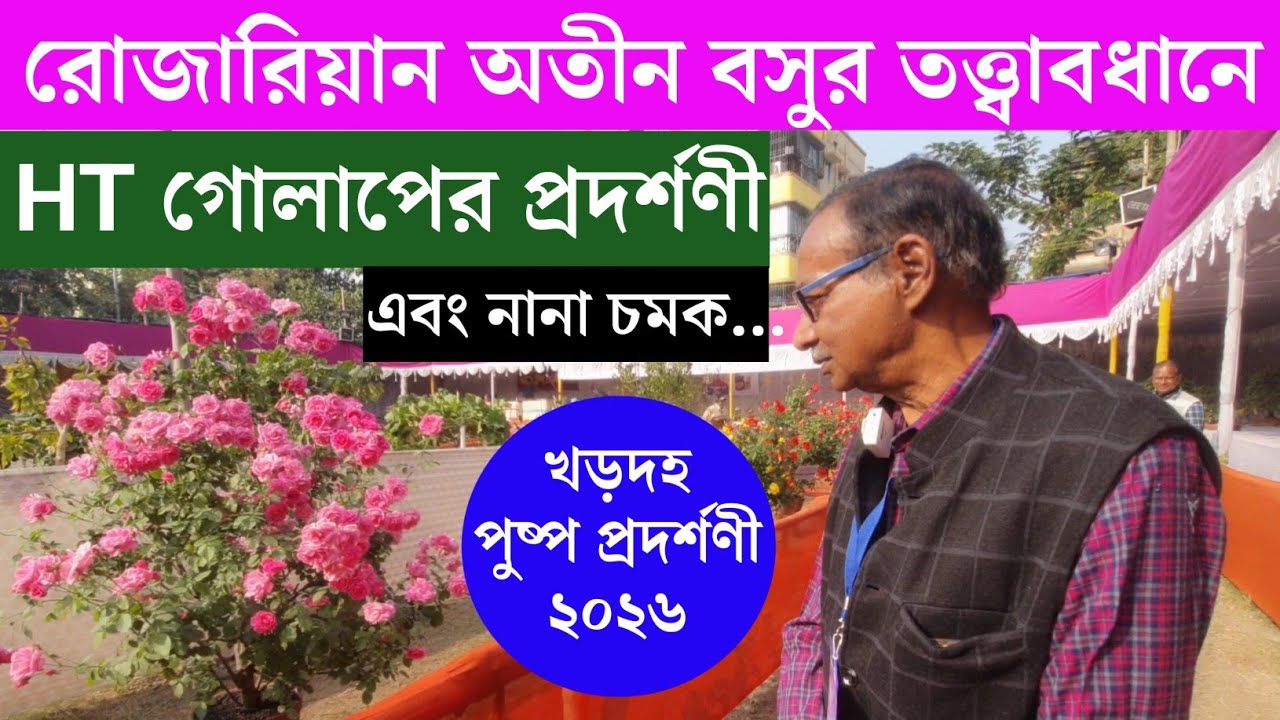 খড়দহ পুষ্প প্রদর্শণীতে গোলাপের নানা ভ্যারাইটি ও কোয়ালিটি চমকে দিল সবাইকে। কি বললেন অতীন বসু ? 