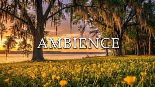Neuse River Breeze 🌿 Buttercups & Spanish Moss | Bird Sounds | Peaceful Nature Ambience 1 Hour
