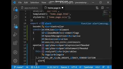 ionic native camera preview plugin