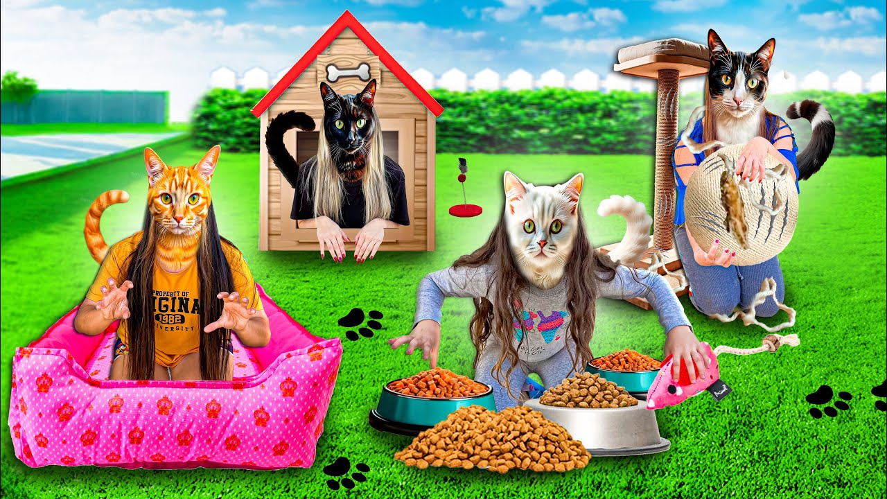 VIRAMOS UM GATO POR 24 HORAS! - Desafio extremo com minha irmãzinha 