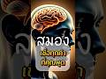 สมองคุณเชื่อทุกคำพูด… แล้วคุณพูดอะไรกับมันบ้าง?