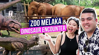 Zoo Melaka & Dinosaur Encounter | Things to do in Melaka
