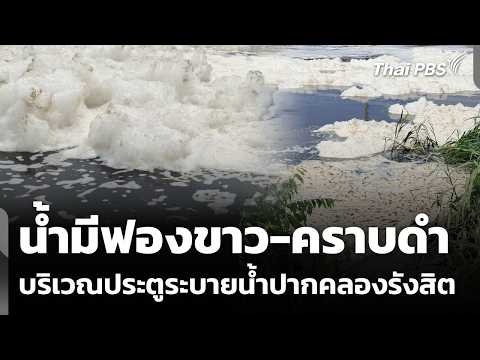 พบน้ำ "ฟองขาว-คราบดำ" ประตูระบายน้ำปากคลองรังสิต | วันใหม่ ไทยพีบีเอส | 14 ต.ค. 69