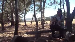 Beautiful Dreamer Brendon Hampson #musicvideo #roy #cover