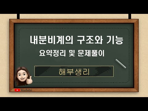 [해부생리]- 내분비기계의 구조와 기능(요약정리, 문제풀이)