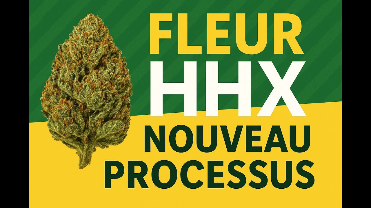 Fleur, HHX, nouveau processus - ZENZO - On évolue peu a peu. Producteur FR actif.